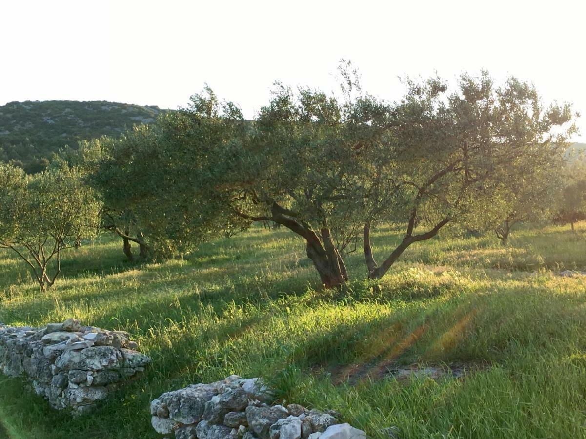 Lavanda Tribalj エクステリア 写真
